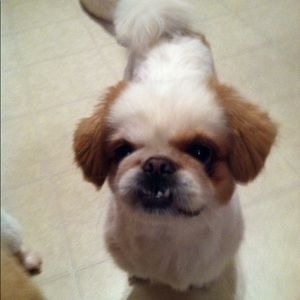 Meet your Posher, Donna